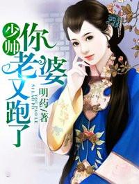 少帅你老婆又跑了简介