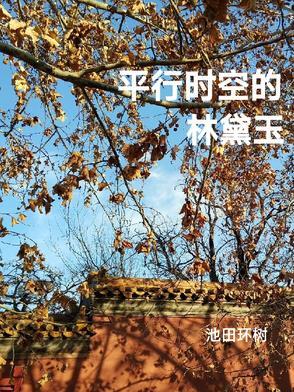平行时空经历