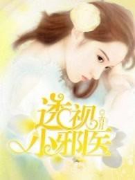透视小邪医神叶洛免费